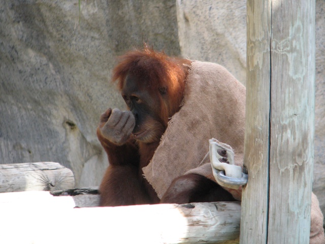20100206 482.JPG